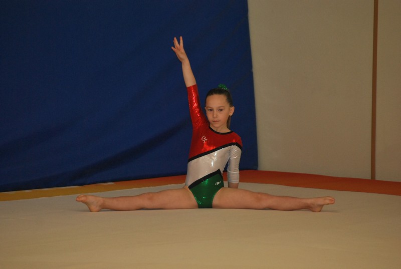 Curso de Actualizaci&oacute;n Juez de Art&iacute;stica Femenina